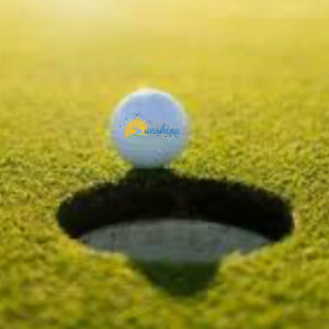 Hole Sponsor HHS Golf Tournament